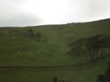 20110917-IMG 9921