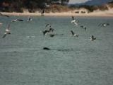 20110918-IMG 0068