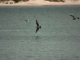 20110918-IMG 0071