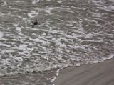 20110918-IMG 0099
