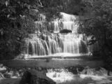 20110919-IMG 0219