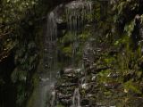 20110919-IMG 0256