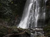 20110919-IMG 0269