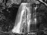 20110919-IMG 0271
