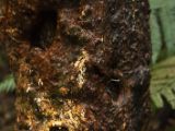 20110919-IMG 0276