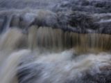 20110919-IMG 0341
