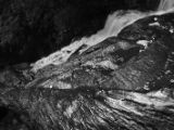 20110919-IMG 0356