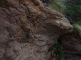 20110919-IMG 0433