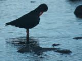 20110919-IMG 0466