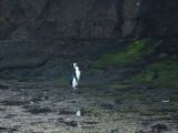 20110919-IMG 0476