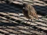 20110920-IMG 0623