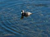 20110920-IMG 0640