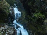 20110920-IMG 0775