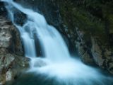 20110920-IMG 0781