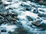 20110920-IMG 0786