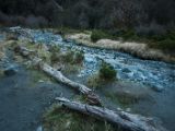 20110920-IMG 0790