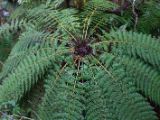 20110921-IMG 1047
