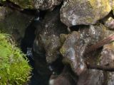 20110921-IMG 1071