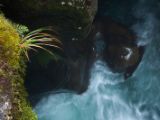 20110921-IMG 1080