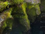 20110921-IMG 1083