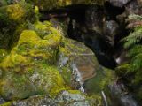 20110921-IMG 1085