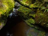 20110921-IMG 1087