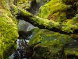 20110921-IMG 1088