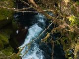 20110921-IMG 1097