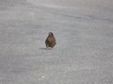 20110921-IMG 1165