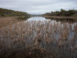 20110923-IMG 1490