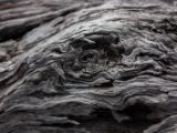 20110923-IMG 1568