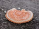 20110923-IMG 1572