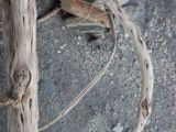 20110923-IMG 1577