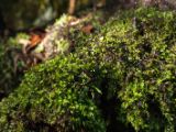 20110924-IMG 1686