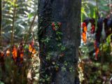 20110924-IMG 1724