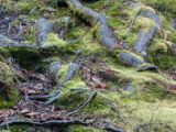 20110924-IMG 1737