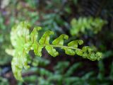 20110924-IMG 1770