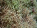 20110924-IMG 1782