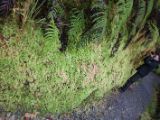 20110924-IMG 1791