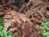 20110924-IMG 1797
