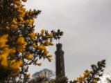 IMG 6543 : Edinburgh, Scotland