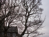 IMG 6760 : Edinburgh, Scotland