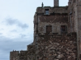 IMG 7069 : Kelpis, Scotland, Stirling Castle