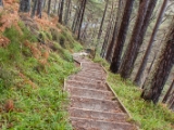 IMG 7341 : Loch Ness, Scotland