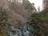 IMG 7350 : Loch Ness, Scotland