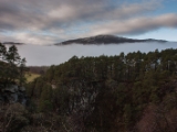 IMG 7356 : Loch Ness, Scotland