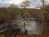 IMG 7385 : Loch Ness, Scotland