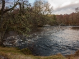 IMG 7390 : Loch Ness, Scotland