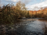 IMG 7395 : Loch Ness, Scotland