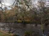 IMG 7397 : Loch Ness, Scotland
